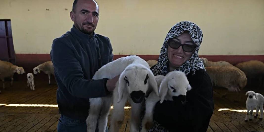 Muhasebecilikten patronluğa geçti: Devlet destekledi sürüsü 103’ten 800’e çıktı 7